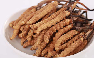 冬蟲(chóng)夏草燉水鴨，搭配這些食材更滋補(bǔ)